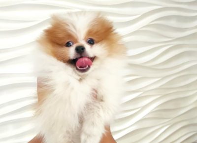 2375863573844639197364948758755949611890487n1632307212