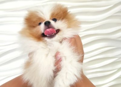 23782350688921836833624420748188755138810n1632307212