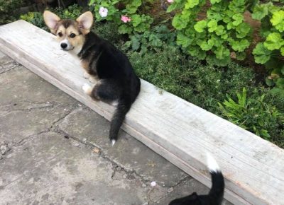 24058769744565872477130398731046414639137846n1631096116