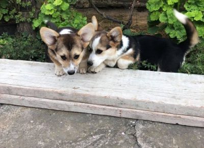 2406201655365957842729825888680064885107506n1631096117