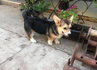 2407549163737050175449731164048803597832023n1631096117