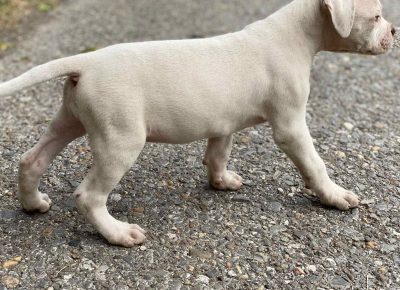 2408101701014580212679135421094274370900948n1632751515