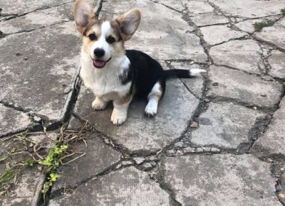 2413800792791187537109628193223800407467656n1631096116