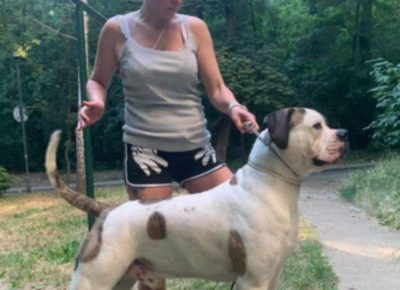 24175789010352718572097493703279857756592483n1632043072