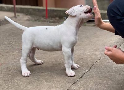 2420755255768619601801634992831523160417104n1632043075