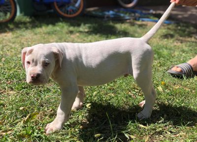 2421807195566554522606191132138012873571657n1632751517