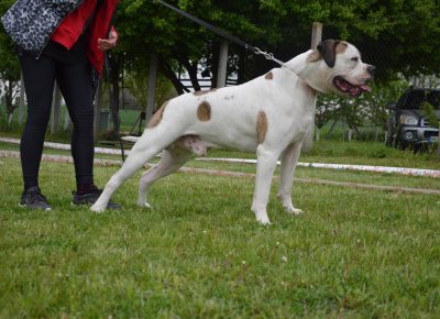 24221180913509759487056431459366193742427114n1632043074