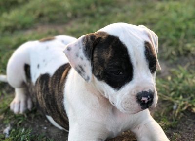 2422138262732805744415006340860532752993163n1632043076