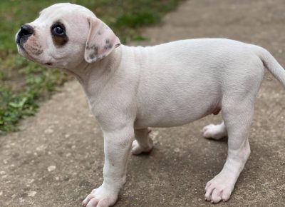 2422207998282213845045372274871391225119069n1632043075