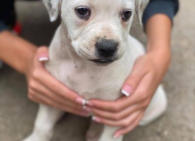 242334578153554992345863870757019003836312n1632043076