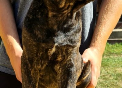 2431152895554702588446668755391347527230806n1632828574