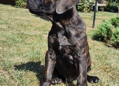 24324281443578115843049375724305028335981681n1632828575