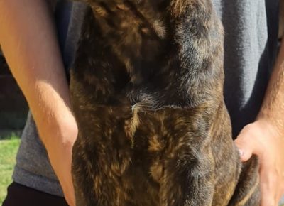 243320357167730345520853196457155027263010n1632828573