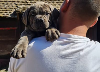 2433324689166151690641732332760075786022076n1632828575