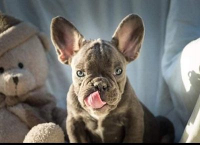 2CLjubomir1631171500