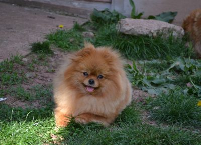 3371833362358874817593393813586416527377956n1632307213