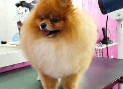 3374823035843927958960653464024271130899479n1632307212