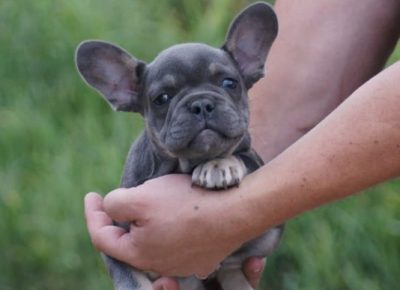 4CLjubomir1631171512