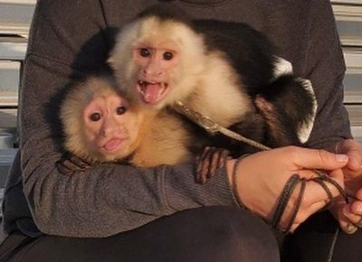 605c3364ce2ee1631805433