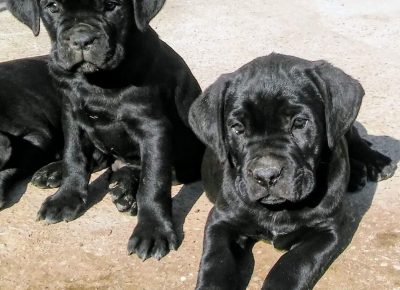 78941593435955497097361973913735930314752n1631655080