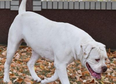 94217672242606198573531097461957843180466885n1632751516