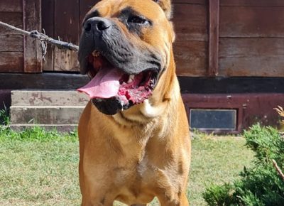 943104281296553441881558448629439898038863n1632828574