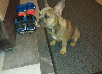 ARMINfeketic21631453951