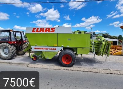 GRODINGDOO(3)1631615959