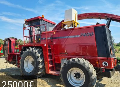 GRODINGDOO(4)1631615958