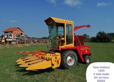 GRODINGDOO(6)1631615957