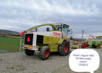 GRODINGDOO(7)1631615957