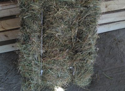 IMG202109141620351632291928