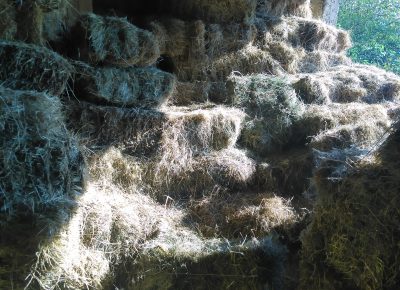 IMG202109141620561632291929