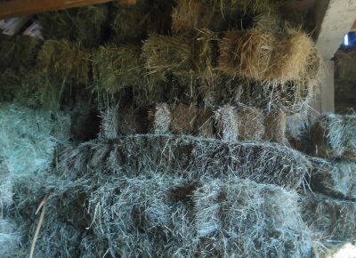 IMG202109141621041632291927