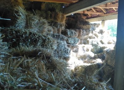 IMG202109141621301632291922