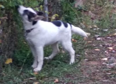 IMG202109210641281632203573