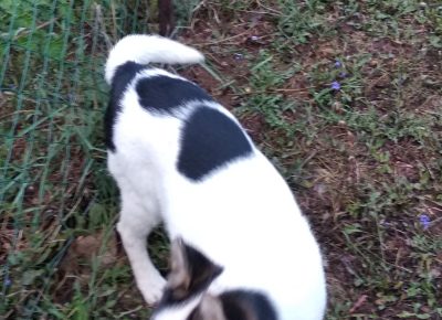 IMG202109210642431632203547