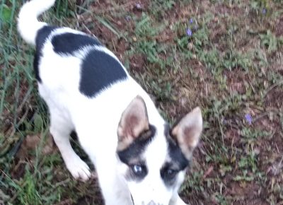 IMG202109210642451632203470