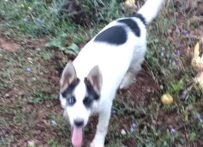 IMG202109210643211632203599