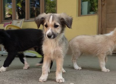 IMG20210924092615(2)1632816502