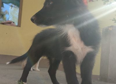 IMG20210924092713(2)1632816523