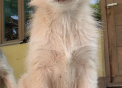 IMG20210924092732(2)1632816522