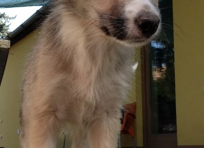 IMG20210924092750(3)1632816523