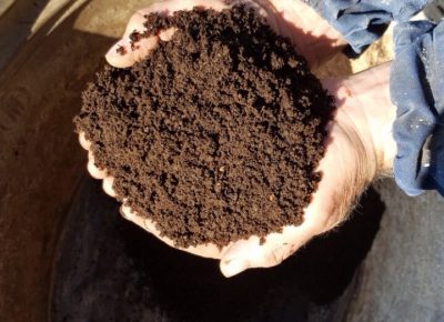 IMG6441ec7f6a1bcacb12f39a996af3cd61V1630480193