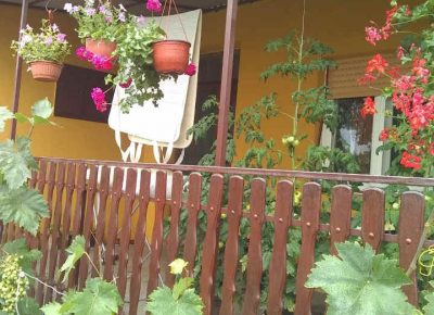 MOKRInkuća31631651244