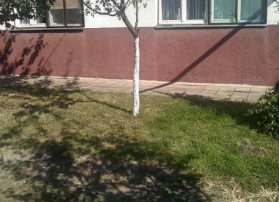 mokinkuća41631651243