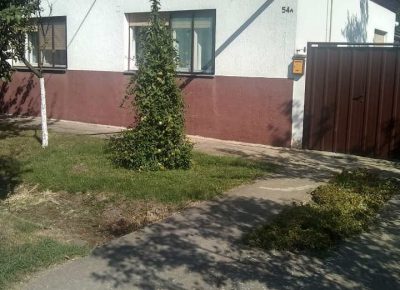 mokrinkuća11631651242