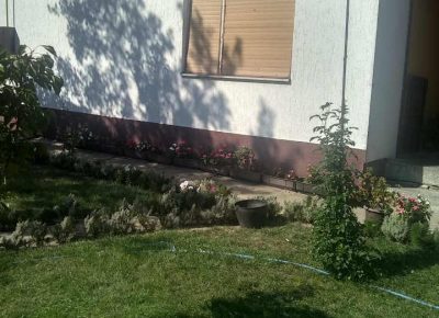 mokrinkuća21631651244