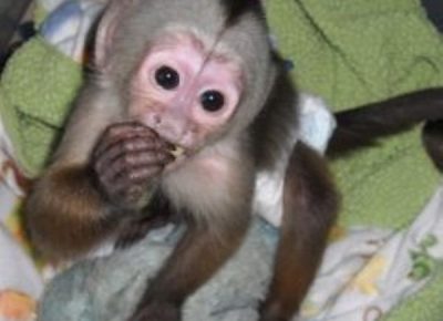 pzdp3jwgeicw6001631805458