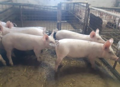 received3928331383367281630860856